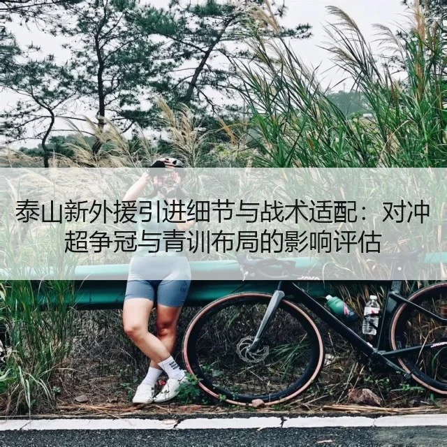 泰山新外援引进细节与战术适配：对冲超争冠与青训布局的影响评估